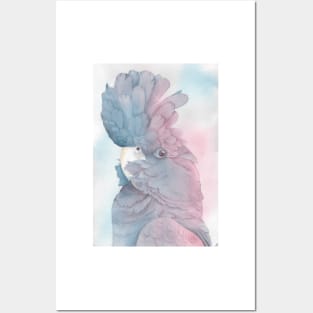 Banks cockatoo watercolor portrait Posters and Art